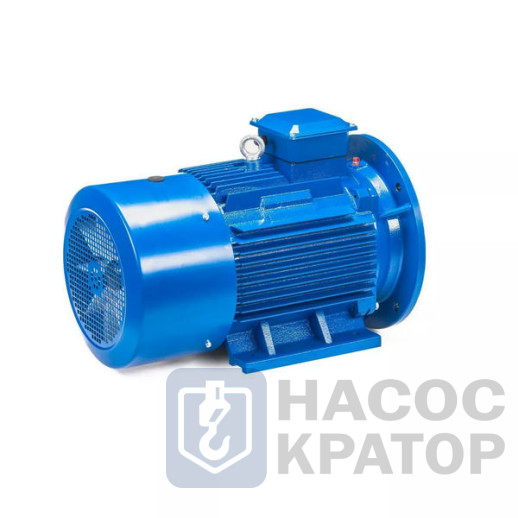Электродвигатель 5АИ 250 М2 90/3000 IM2001