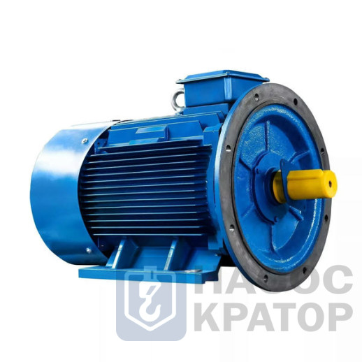 Электродвигатель АИР 100 L2 У1 220/380В IP55 5,5/3000 IM2081