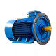Электродвигатель АИР 100 L2 У1 220/380В IP55 5,5/3000 IM2081