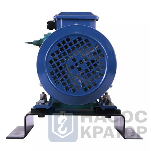 Насос НМШ 5-25-4/4 с электродвигателем 1,5/1500 ВЗИ