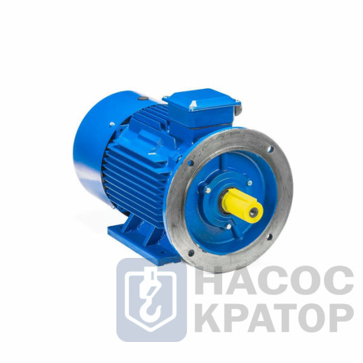 Электродвигатель 5АИ 250 S4 76/1500 IM2001