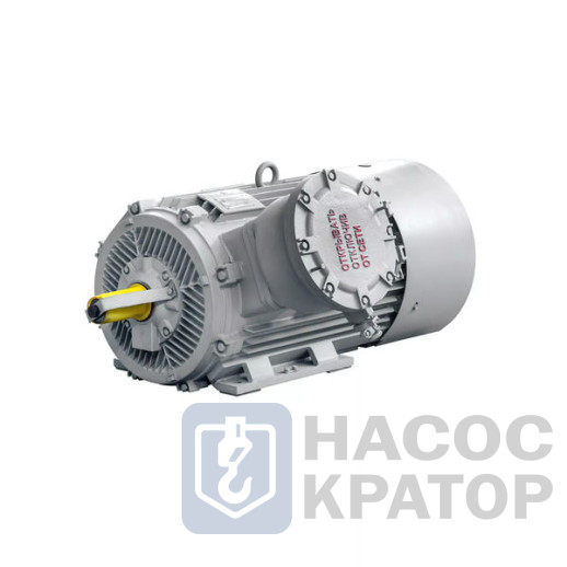 Электродвигатель 2АИМУР 315 L4 У2,5 660/1140В, класс изоляции Н, PBExdI Mb, РТC (статор) подшипники SKF, 315/1500 IM1001