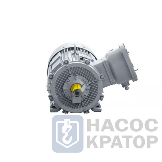 Электродвигатель 2АИМУР 315 L4 У2,5 660/1140В, класс изоляции Н, PBExdI Mb, РТC (статор) подшипники SKF, 315/1500 IM1001