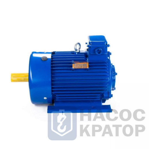 Электродвигатель 5МТКН 225 L6 55/1000 IM1003