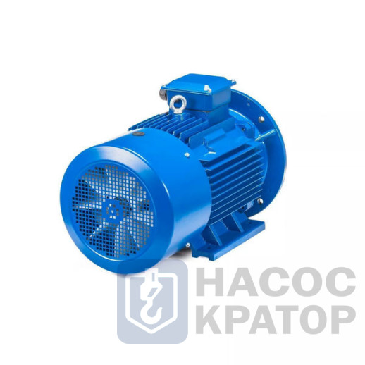 Электродвигатель 5АИ 250 М6 55/1000 IM2001