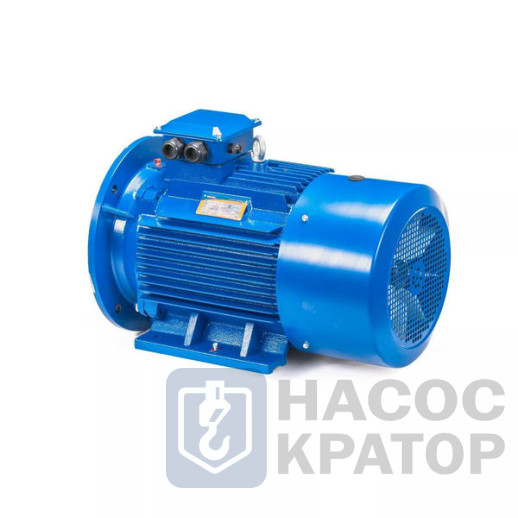 Электродвигатель 5АИ 250 М6 55/1000 IM2001