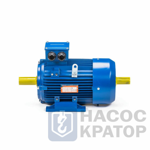Электродвигатель 5АИ 100 L6 2,2/1000 IM1082