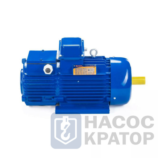 Электродвигатель 5МТН 225 М8 30/750 IM1004