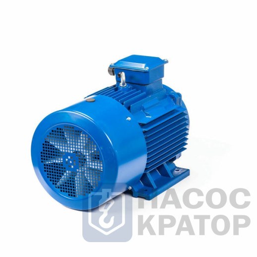 Электродвигатель 5АИ 250 S4 76/1500 IM1001