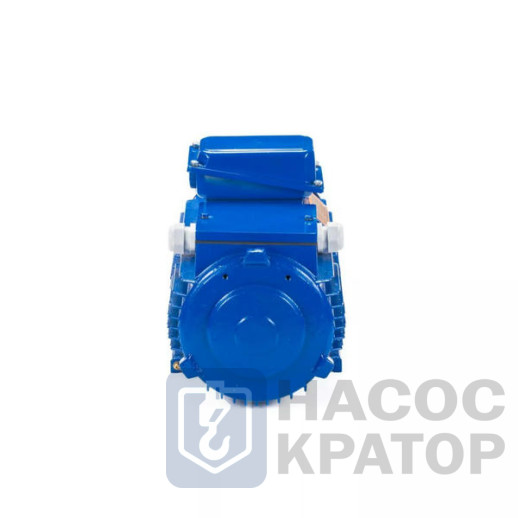 Электродвигатель 5MTH 225 М8 30/723 IM1003