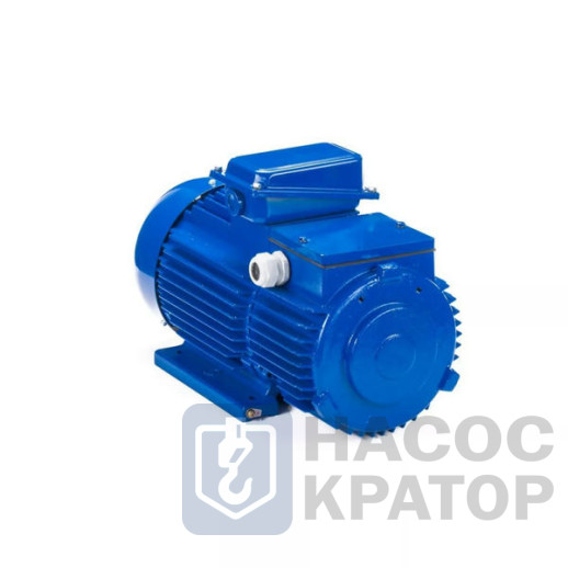 Электродвигатель 5MTH 225 М8 30/723 IM1003