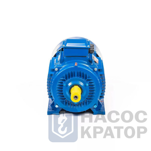 Электродвигатель 5АИ 250 М6 55/1000 IM1001