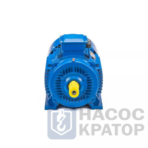 Электродвигатель 5АИ 180 S4 22/1500 IM1002