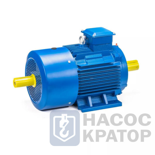 Электродвигатель 5АИ 180 S4 22/1500 IM1002