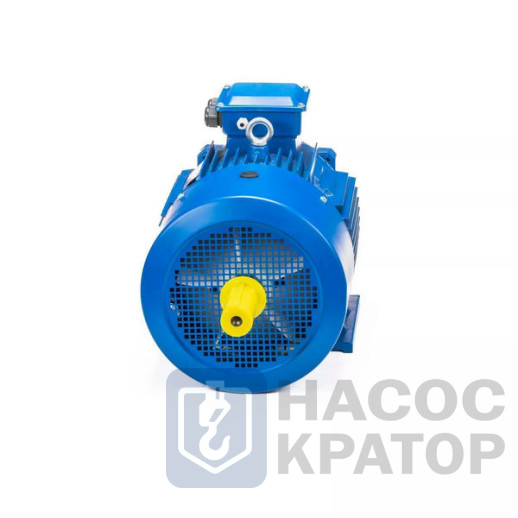 Электродвигатель 5АИ 180 S4 22/1500 IM1002