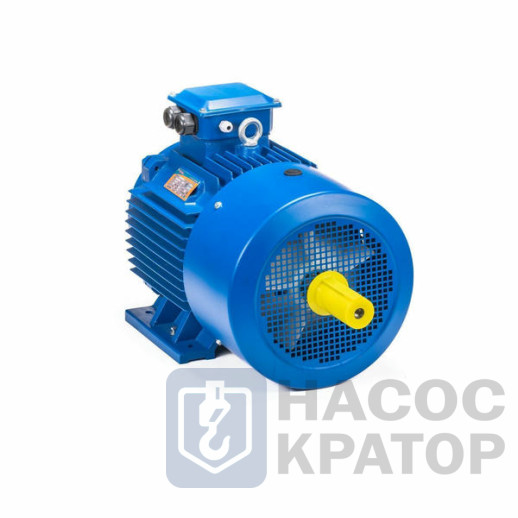 Электродвигатель 5АИ 180 S4 22/1500 IM1002