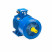 Электродвигатель 5АИ 180 S4 22/1500 IM1002