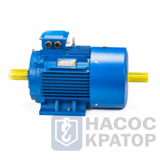 Электродвигатель 5АИ 180 S4 22/1500 IM1002