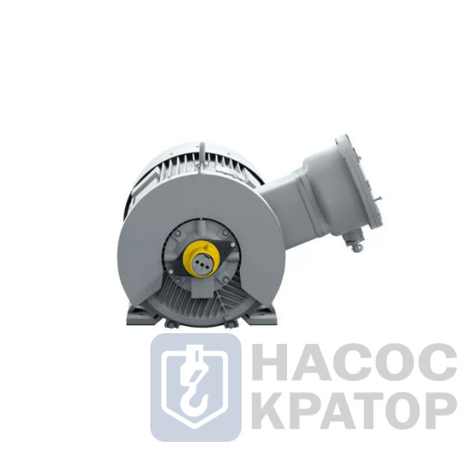 Электродвигатель 2АИМУР 315 M4 660/1140В, PBExdI Mb/1ЕхdIIBT4 Gb, класс изоляции H, PTC (статор), стальной фланец, подшип, SKF 250/1500 IM4001