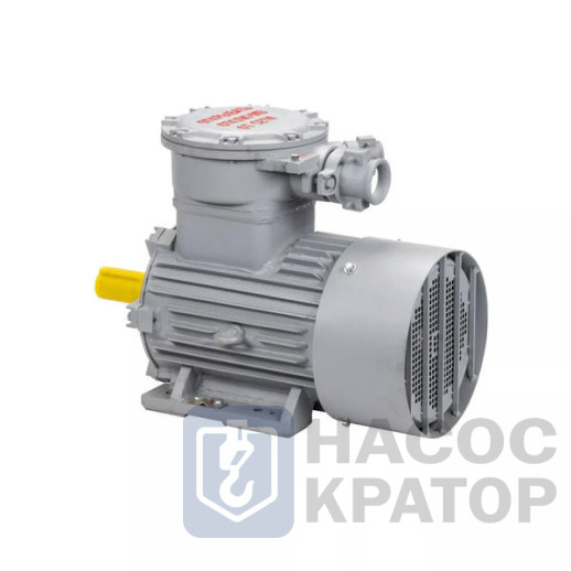 Электродвигатель АИМУР 250 S2 У2,5 380/660В, класс изоляции Н, PBExdI Mb, РТС (статор), подшипники SKF, 76/3000 IM1001