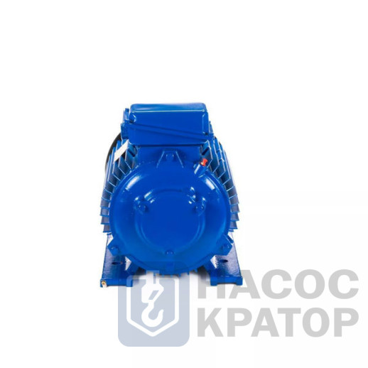 Электродвигатель 5МТКН 225 L8 37/750 IM1003