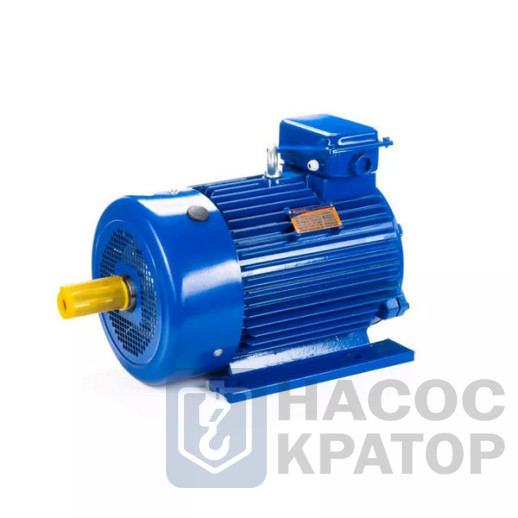 Электродвигатель 5МТКН 225 L8 37/750 IM1003