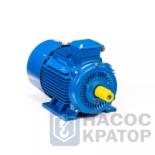 Электродвигатель 5АИ 250 S2 76/3000 IM1001