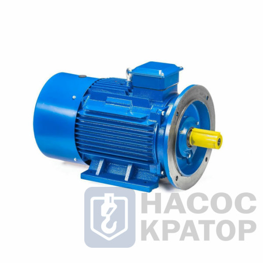 Электродвигатель 5АИ 250 S6 45/1000 IM2001
