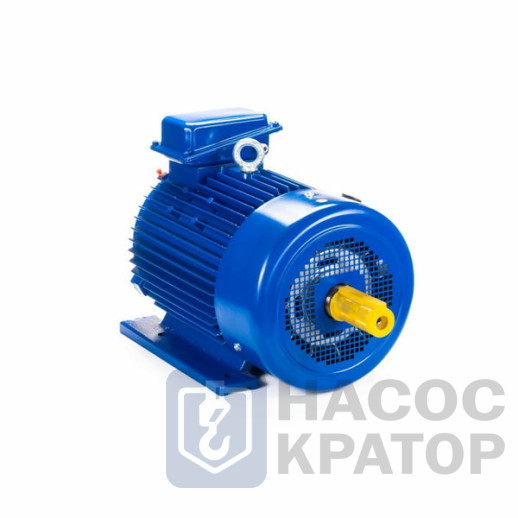 Электродвигатель 5MTKH 225 М8 30/750 IM1003