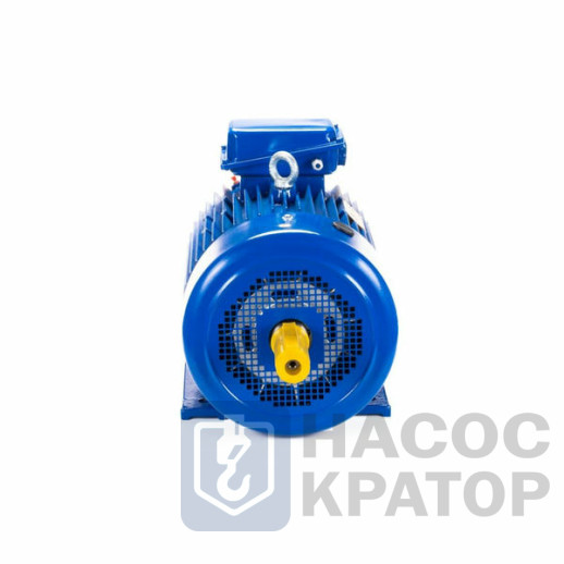 Электродвигатель 5MTKH 225 М8 30/750 IM1003