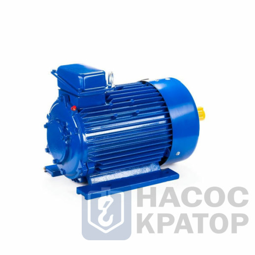 Электродвигатель 5MTKH 225 М8 30/750 IM1003