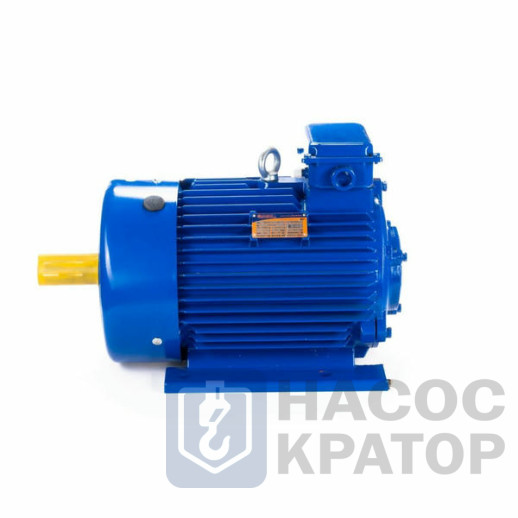 Электродвигатель 5MTKH 225 М8 30/750 IM1003
