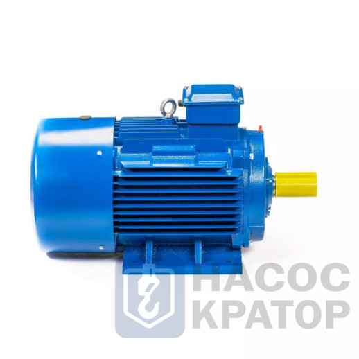 Электродвигатель 5АИ 250 S6 45/1000 IM1001