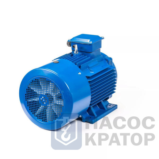 Электродвигатель 5АИ 250 S6 45/1000 IM1001