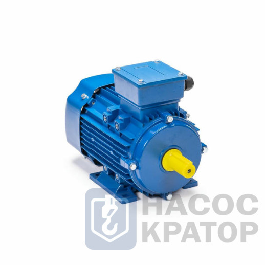 Электродвигатель 5АИ 90 L2 3/3000 IM1082