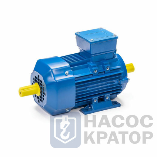 Электродвигатель 5АИ 90 L2 3/3000 IM1082