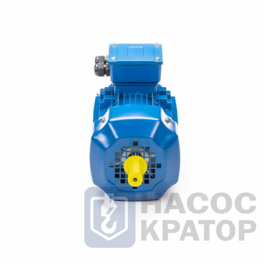 Электродвигатель 5АИ 90 L2 3/3000 IM1082