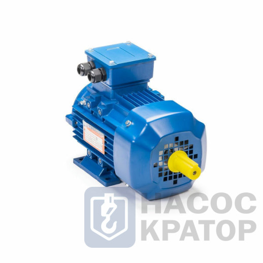 Электродвигатель 5АИ 90 L2 3/3000 IM1082