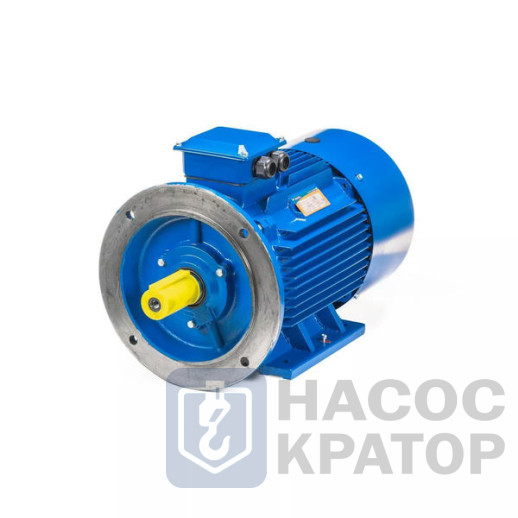 Электродвигатель 5АИ 225 М4 55/1500 IM2001