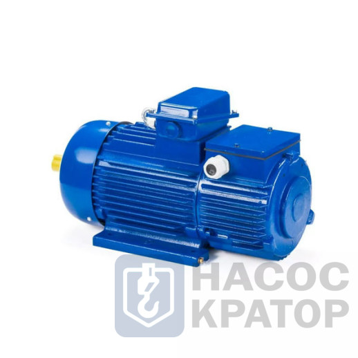 Электродвигатель 5МТН 412-8 22/750 IM1003