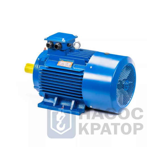 Электродвигатель 5АИ 225 М4 55/1500 IM1001