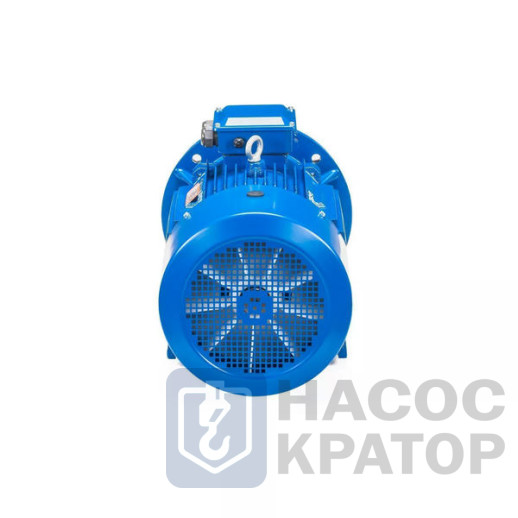 Электродвигатель 5АИ 225 М2 55/3000 IM2001