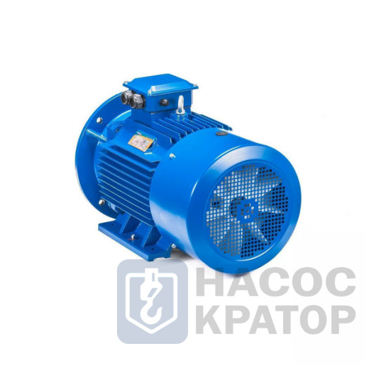 Электродвигатель 5АИ 225 М2 55/3000 IM2001
