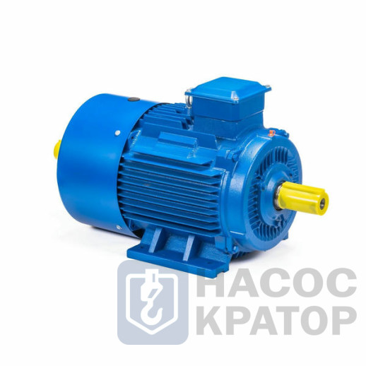 Электродвигатель 5АИ 180 М4 30/1500 IM1002
