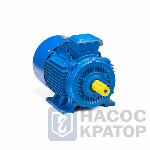 Электродвигатель 5АИ 180 М4 30/1500 IM1002