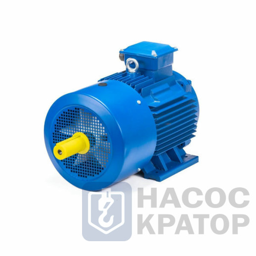 Электродвигатель 5АИ 180 М4 30/1500 IM1002
