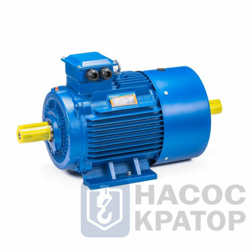 Электродвигатель 5АИ 180 М4 30/1500 IM1002