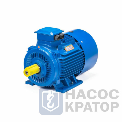 Электродвигатель 5АИ 180 М4 30/1500 IM1002