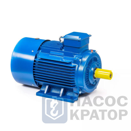 Электродвигатель 5АИ 225 М6 37/1000 IM1001