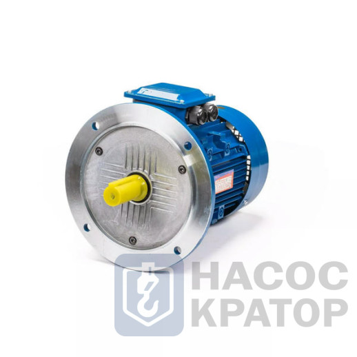 Электродвигатель 5АИ 112 М4 5,5/1500 IM3081